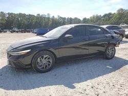 Salvage cars for sale at Ellenwood, GA auction: 2024 Hyundai Elantra SEL