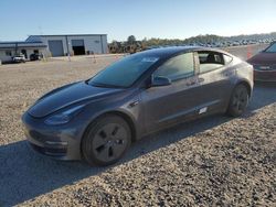 2023 Tesla Model 3 en venta en Lumberton, NC