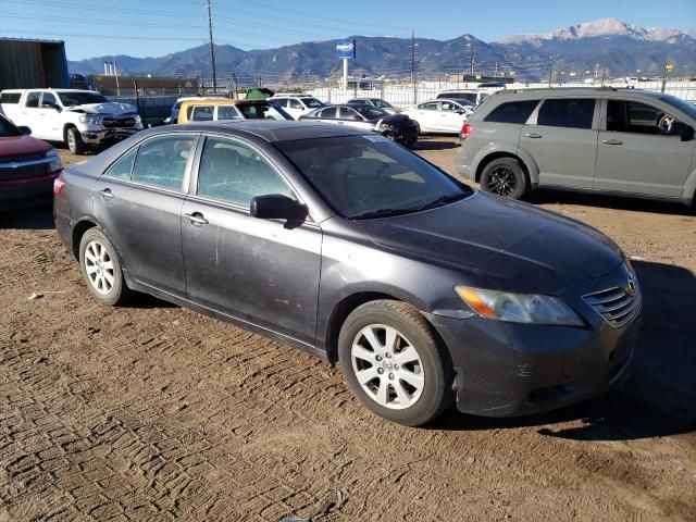 2008 Toyota Camry Hybrid