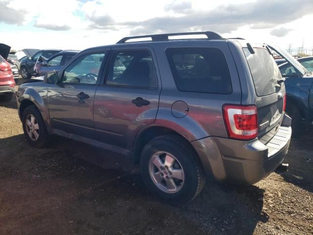 2012 Ford Escape XLT