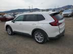 2024 Honda CR-V EXL