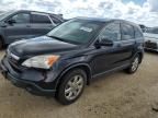 2007 Honda CR-V EXL