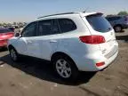 2007 Hyundai Santa FE SE