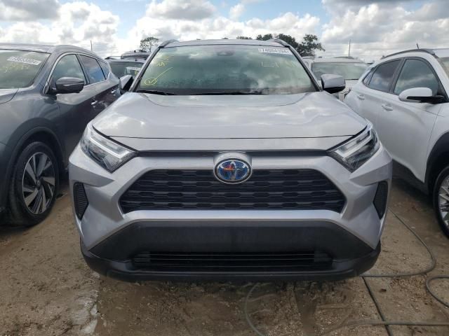 2023 Toyota Rav4 LE