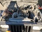 1993 Jeep Wrangler / YJ