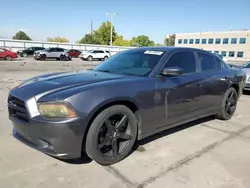 Salvage cars for sale at Littleton, CO auction: 2014 Dodge Charger SXT