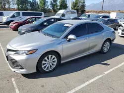 Carros salvage sin ofertas aún a la venta en subasta: 2019 Toyota Camry L