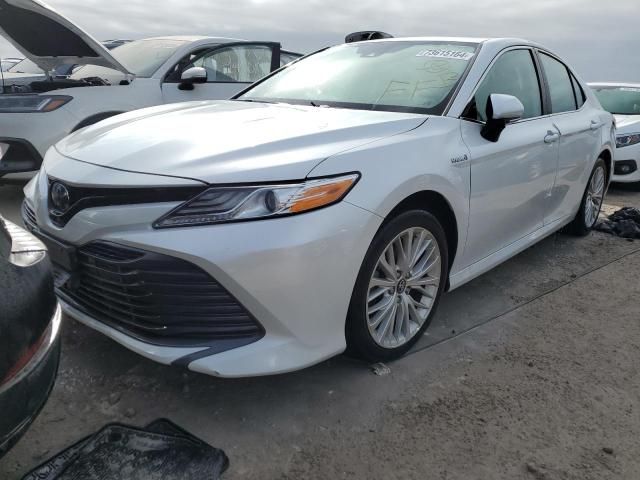 2019 Toyota Camry Hybrid