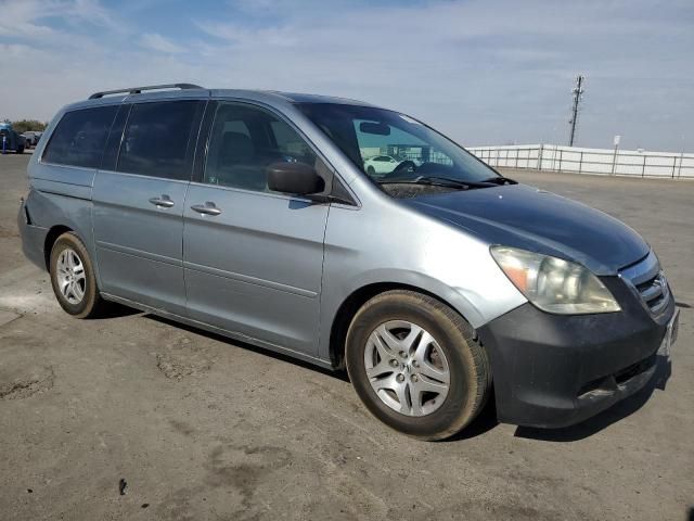 2005 Honda Odyssey EXL