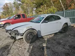 Salvage cars for sale at Candia, NH auction: 2003 Ford Mustang