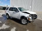 2008 Ford Escape HEV