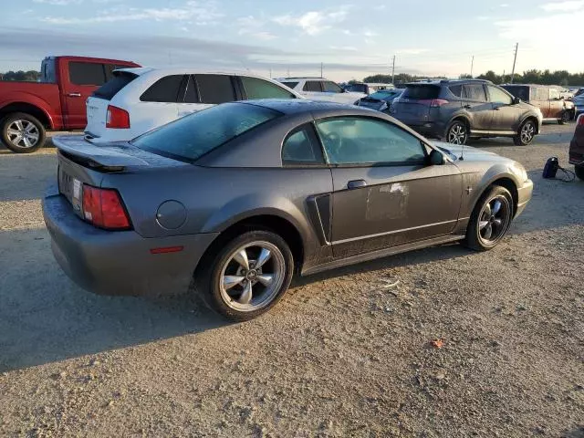 2003 Ford Mustang