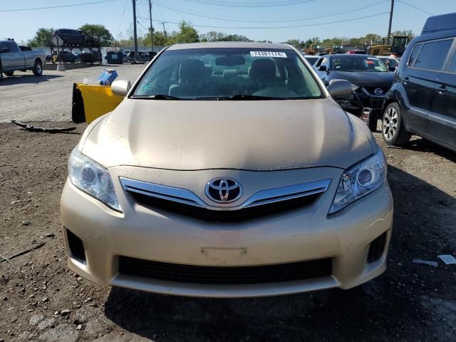 2010 Toyota Camry Hybrid