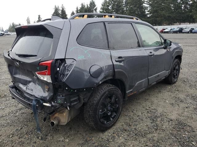 2023 Subaru Forester Wilderness