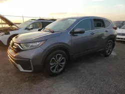 Flood-damaged cars for sale at auction: 2020 Honda CR-V EX