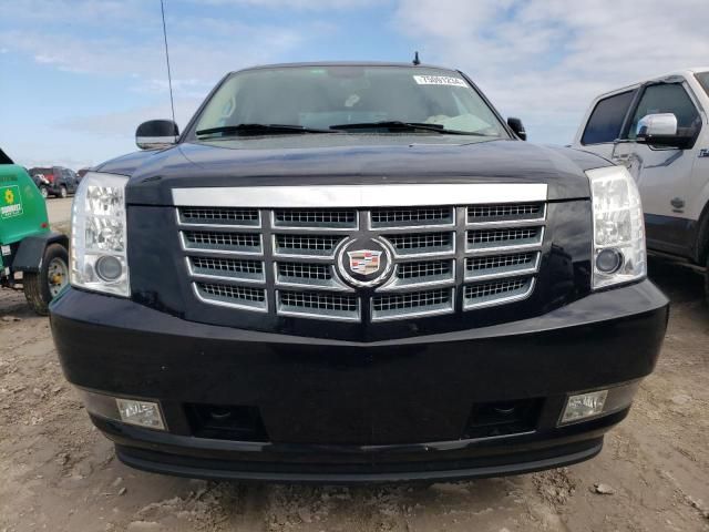 2010 Cadillac Escalade EXT Luxury