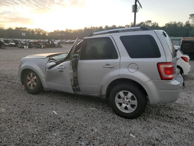 2010 Ford Escape Limited