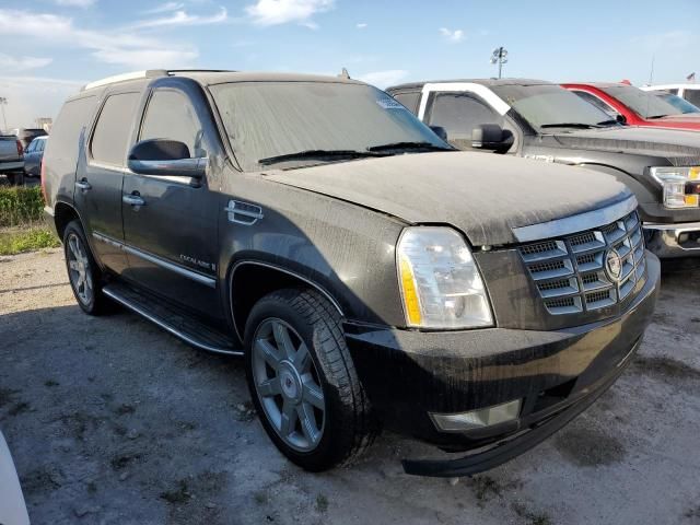 2009 Cadillac Escalade Luxury