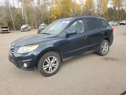 Hyundai Vehiculos salvage en venta: 2010 Hyundai Santa FE GLS