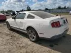 2010 Ford Mustang