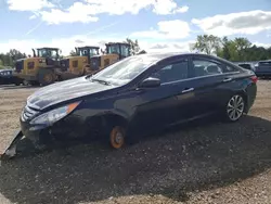 Salvage cars for sale at Columbia Station, OH auction: 2013 Hyundai Sonata SE