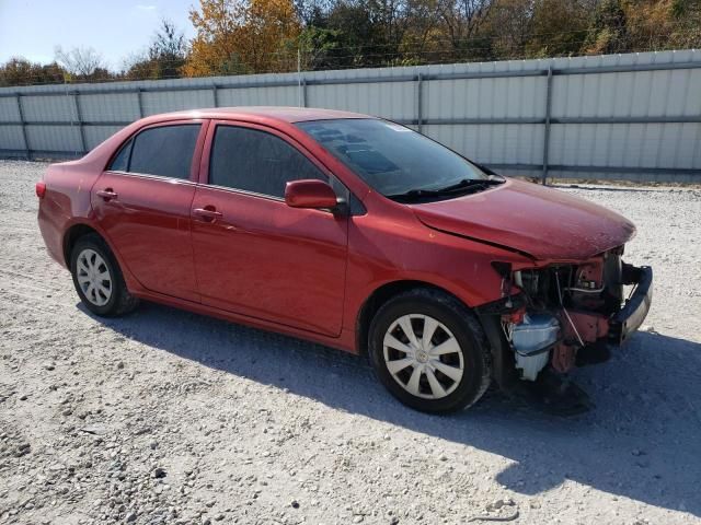 2010 Toyota Corolla Base