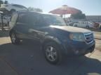 2009 Honda Pilot EXL