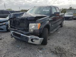 Ford salvage cars for sale: 2013 Ford F150 Supercrew