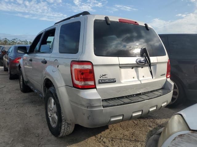 2008 Ford Escape XLT