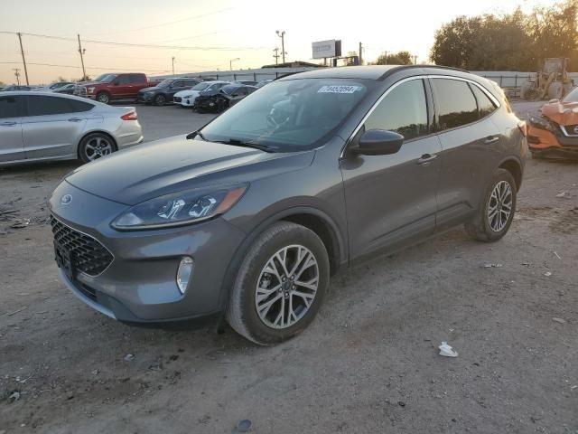 2021 Ford Escape SEL