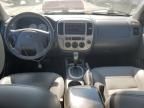 2006 Ford Escape XLT