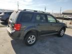 2008 Mazda Tribute Hybrid