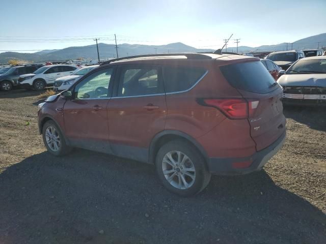 2019 Ford Escape SEL