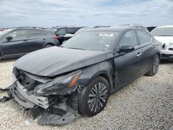 Salvage cars for sale at New Braunfels, TX auction: 2024 Nissan Altima SV