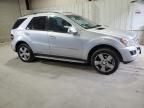 2009 Mercedes-Benz ML 350