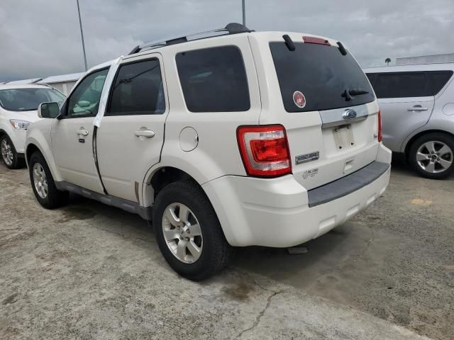 2010 Ford Escape Limited