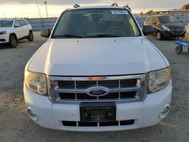 2008 Ford Escape XLT