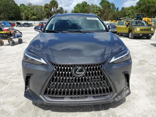 2025 Lexus NX 250 Premium