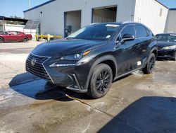 Salvage cars for sale at New Orleans, LA auction: 2020 Lexus NX 300 Base