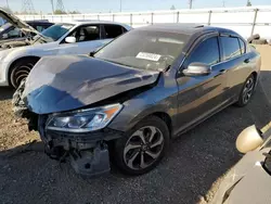 Salvage cars for sale at Elgin, IL auction: 2017 Honda Accord EXL