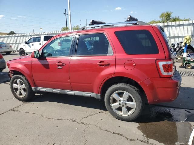 2011 Ford Escape Limited