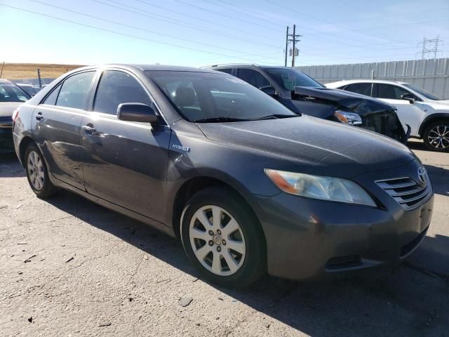 2008 Toyota Camry Hybrid