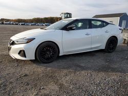 Salvage cars for sale from Copart Assonet, MA: 2019 Nissan Maxima S