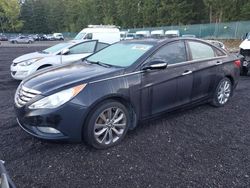 Salvage cars for sale at Graham, WA auction: 2013 Hyundai Sonata SE