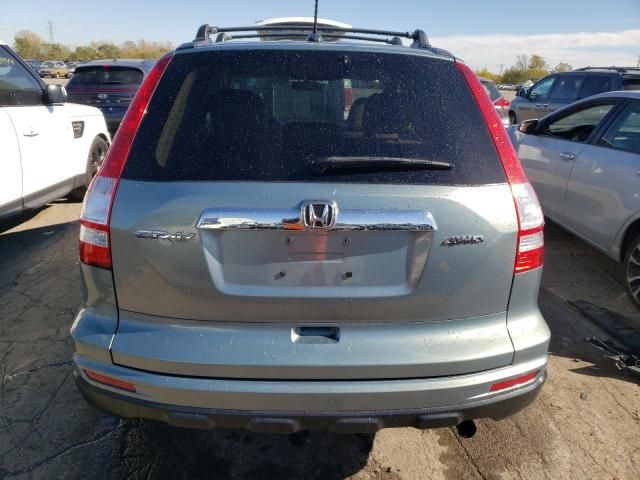 2010 Honda CR-V EXL