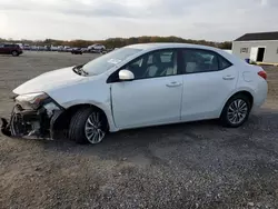 Toyota Vehiculos salvage en venta: 2019 Toyota Corolla L