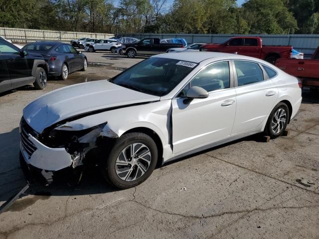 2020 Hyundai Sonata Hybrid