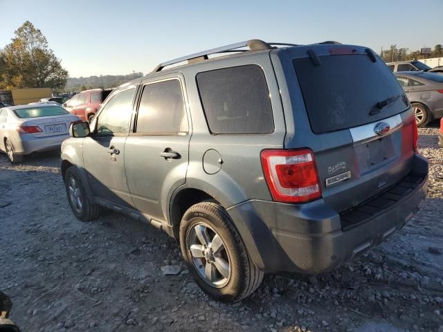 2011 Ford Escape Limited