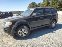 Ford salvage cars for sale: 2012 Ford Escape XLT