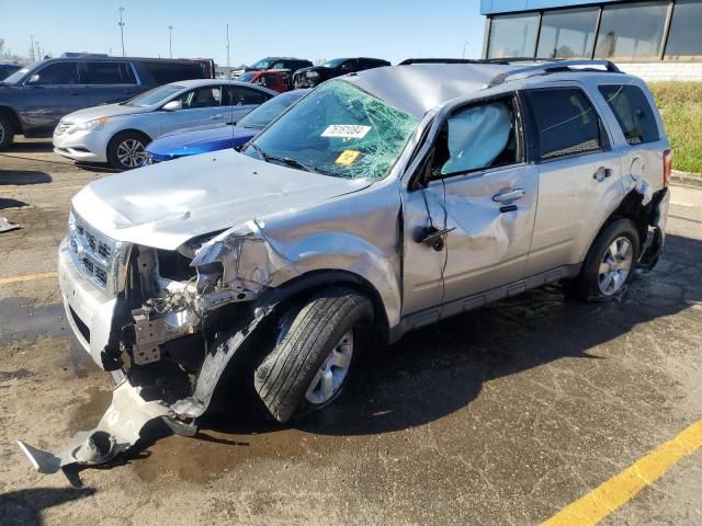 2010 Ford Escape Limited